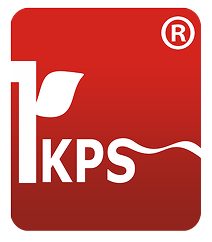 2010